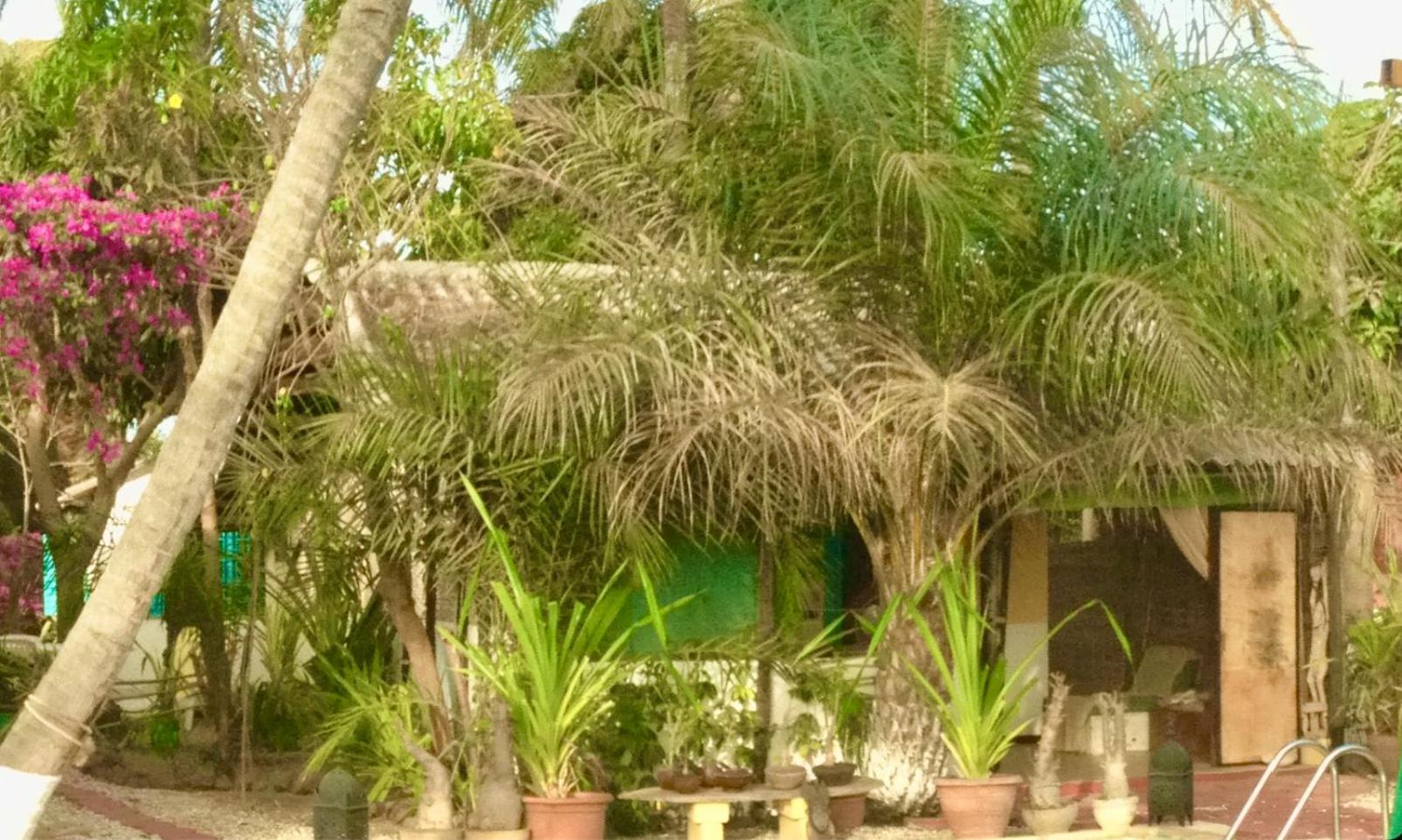 קפ סקירינג Ecolodge Safari מראה חיצוני תמונה